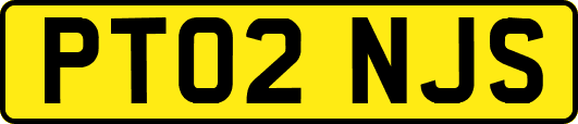 PT02NJS