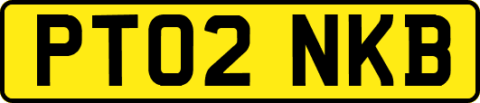PT02NKB