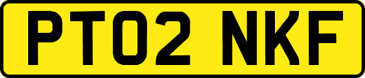 PT02NKF
