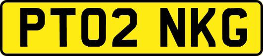 PT02NKG