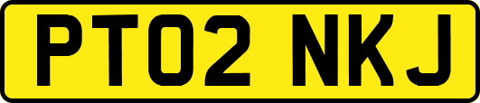 PT02NKJ