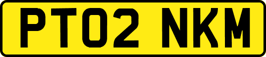 PT02NKM