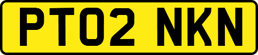 PT02NKN