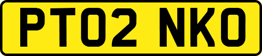 PT02NKO