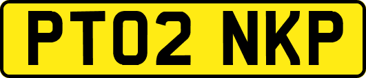 PT02NKP