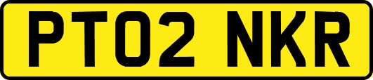 PT02NKR
