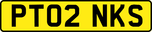 PT02NKS