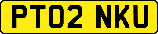 PT02NKU