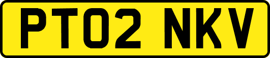 PT02NKV