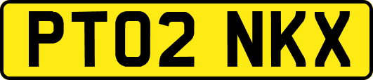 PT02NKX