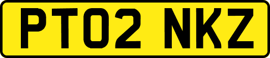PT02NKZ