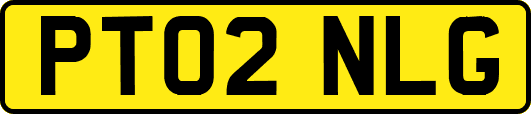 PT02NLG