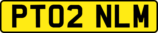 PT02NLM