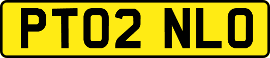 PT02NLO
