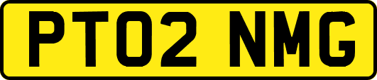 PT02NMG