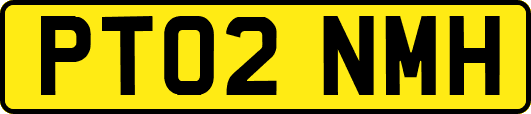 PT02NMH
