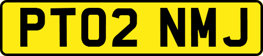 PT02NMJ