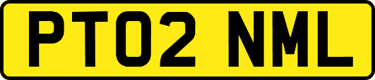 PT02NML
