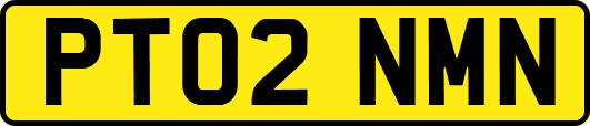 PT02NMN
