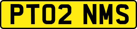 PT02NMS