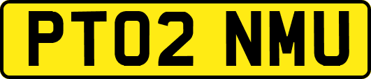 PT02NMU