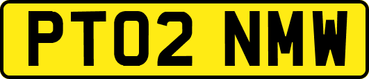 PT02NMW