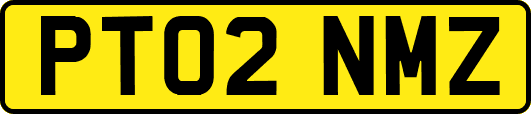PT02NMZ