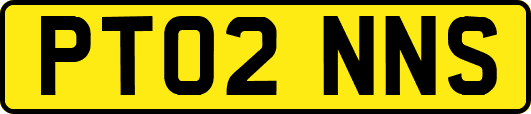 PT02NNS