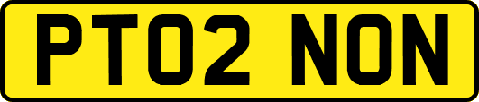 PT02NON