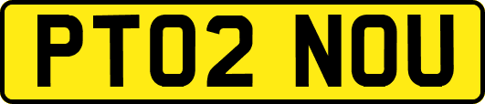 PT02NOU