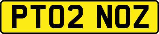 PT02NOZ