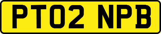 PT02NPB