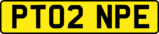 PT02NPE