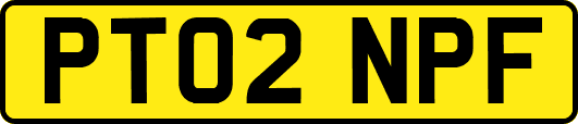 PT02NPF