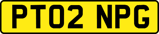PT02NPG