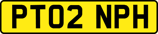 PT02NPH