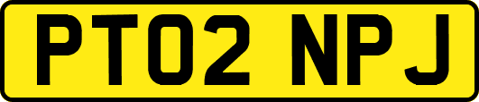 PT02NPJ