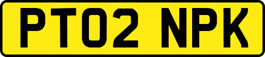 PT02NPK