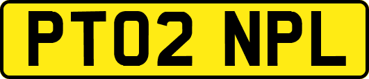 PT02NPL