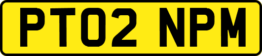 PT02NPM
