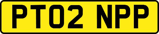 PT02NPP