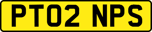 PT02NPS