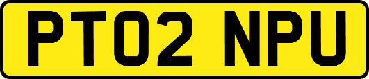 PT02NPU