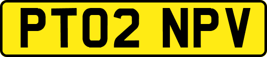 PT02NPV