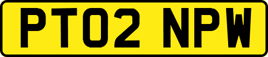 PT02NPW