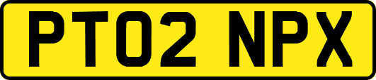 PT02NPX