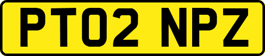 PT02NPZ