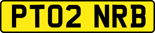 PT02NRB
