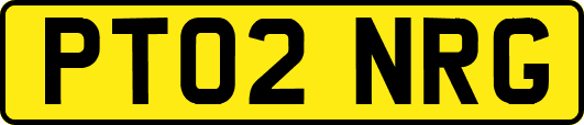 PT02NRG