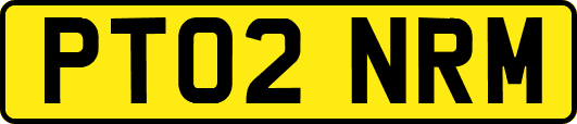 PT02NRM